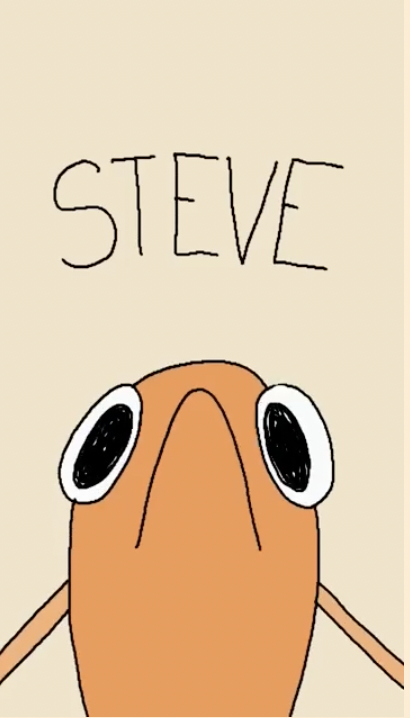 steve1